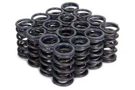 4205 Isky Racing Cams - Valve Springs