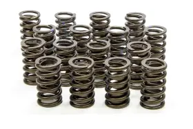 205d Isky Cams Racing - Valve Springs With Damper