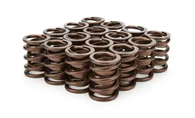 3105d Isky Cams For 1.490 Valve Springs