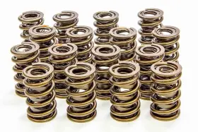 8205-plus Isky Cams 1.530 Valve Springs