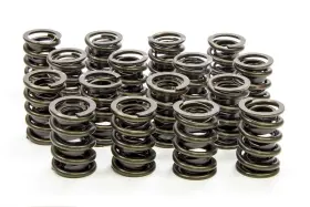 8205sp Isky Cams 1.530 Valve Springs