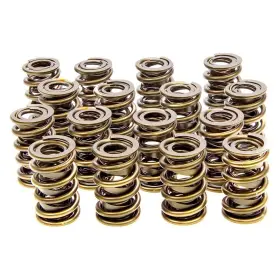 9365plus Isky Cams Racing - Endurance Plus Special Processing Valve Springs