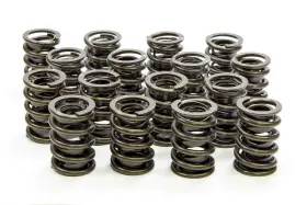 9365sp Isky Cams - 1.550in Valve Springs