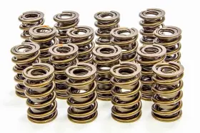 9375-plus Isky Cams 9375 Plus - 1.560in Valve Springs