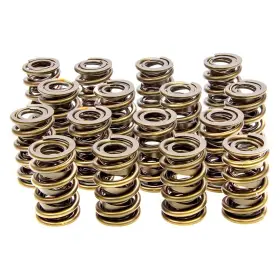 9385plus Isky Cams Racing - Endurance Plus Special Processing Valve Springs