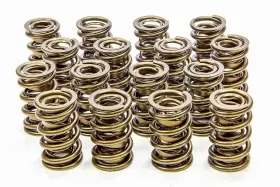9945rad Isky Cams - 1.625 Valve Springs