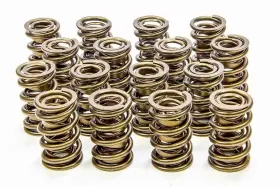 9955rad Isky Cams - 1.625 Valve Springs