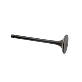 Rv9101 Itm Engine Components Intake Valve For Select 70-84 Nissan Models