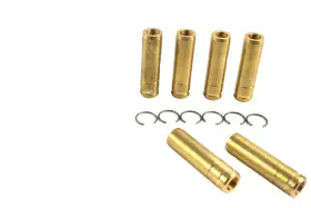Vg1092br Itm Engine Components Valve Guide-intake Kit