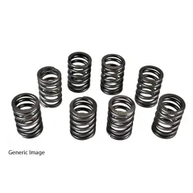Vs1078 Itm Engine Components Valve Spring For 68-82 Corolla Starlet