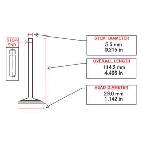 Itm Engine Rx9558 For Honda Accord 1994-2002 Exhaust Valve