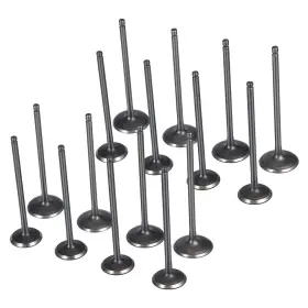 .jahyelec 884900601075 Intake Exhaust Valves For Hyundai Santa Fe Sonata Kia Forte Optima 2.0l 2.2l