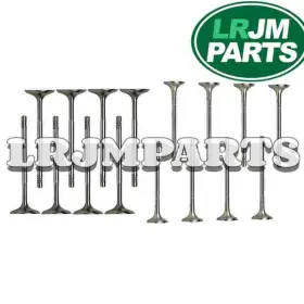 Lr091763 Jmlr Aj200 Jaguar Land Rover Evoque Discovery 2.0 Engine Intake Exhaust Valve Set