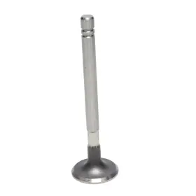 Ve2000c Kanter Auto 1 Exhaust Valve 1955 Plymouth 241 V8 8-cylinder New Ft55