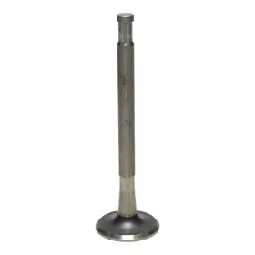 Ve2500 Kanter Auto 1 Exhaust Valve 1965-1967 Buick 300 340 V8 8-cylinder New