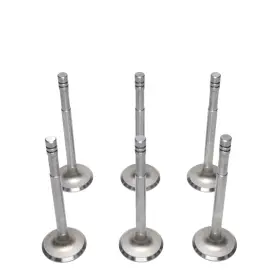 Vi1690x6b Kanter Auto 6 Intake Valves 1942-1959 Plymouth 218 230 L6 6-cylinder New 42 46 47 48 49 50
