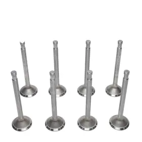 Vi944x8 Kanter Auto 8 Intake Valves 1934-1953 Buick 233 248 263 L8 8-cylinder New 34 35 36 37 38 39