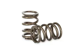 Kvs86 Kelford Cams Valve Spring Set For Subaru Brz /scion Fr-s /toyota 86