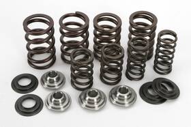 Kibblewhite 40-40300 Precision Valve Spring Kit