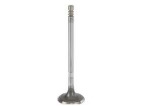 Gz46t7 Kolbenschmidt Intake Valve For 02-08 Mini Cooper Naturally Aspirated Supercharged