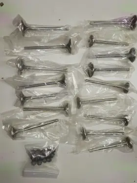 F7-5631d Labwork Title 16 Pcs 6mm Intake And Exhaust Valves Engine Replacement Parts