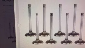 2101-2107 Lada 86-2802 Intake And Exhaust Valves / Juego De Valvulas