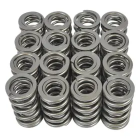 Lpp811111 Livernois Motorsports Powerstorm Upgraded Dual Valve Spring
