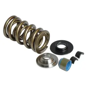 Lpp811115 Livernois Motorsports For Chevy Camaro 16-18 Powerstorm Dual Valve Spring Kit