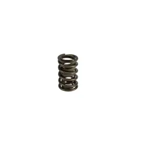 73124-16 Lunati Engine Valve Spring Kit