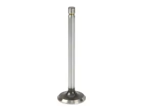 69qhmy29 Mahle Exhaust Valve For Cadillac Escalade 2000