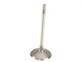 76xkydp54 Mahle Intake Valve For Ranger Explorer Sport Trac Mustang 2007 2000 2001