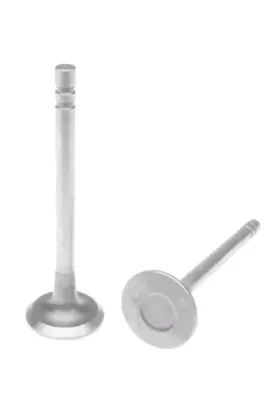 211-2486 Mahle Original Napa Engine Exhaust Valve Single Part #