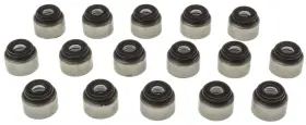 Ss45549 Mahle Engine Valve Stem Oil Seal Set