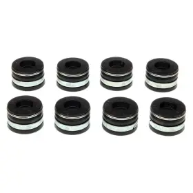 Ss45560 Mahle Intake Valve Stem Oil Seal Set