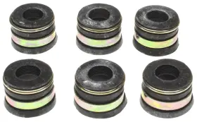 Ss45591 Mahle Engine Valve Stem Oil Seal Set