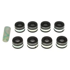Ss45613 Mahle For Chevy S10 1985-1993 Valve Stem Oil Seal Set
