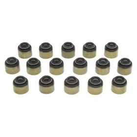 Ss45672 Mahle Fluoroelastomer Valve Stem Oil Seal Set