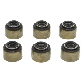 Ss45798 Mahle For Dodge Ram 1500 1994-2001 Intake Valve Stem Oil Seal Set