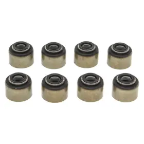Ss45798a Mahle For Dodge Ram 1500 1994-2003 Intake Valve Stem Oil Seal Set