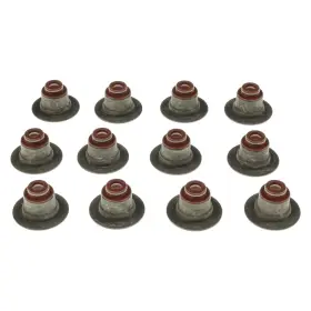 Ss45832 Mahle Valve Stem Oil Seal Set