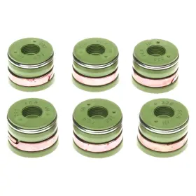 Ss45907 Mahle Fluoroelastomer Intake Valve Stem Oil Seal Set