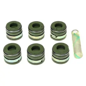 Ss45911 Mahle Exhaust Valve Stem Oil Seal Set