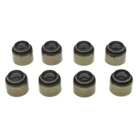Ss45922 Mahle For Chevy Silverado 1500 99-01 Intake Valve Stem Oil Seal Set