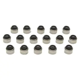 Ss45937 Mahle For Toyota Tundra 00-15 Valve Stem Oil Seal Set Fluoroelastomer Positive Type
