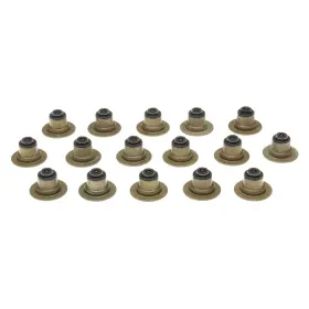 Ss45961 Mahle For Ford Thunderbird 2002-2005 Valve Stem Oil Seal Set