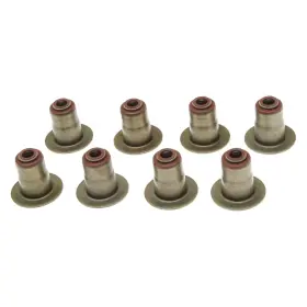 Ss46010 Mahle For Dodge Charger 2006-2010 Intake Valve Stem Oil Seal Set