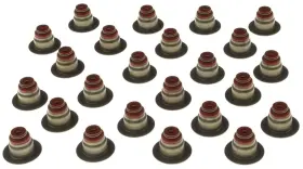 Ss46052 Mahle Engine Valve Stem Oil Seal Set