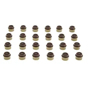 Ss46057 Mahle For Ram 1500 2013-2019 Positive Type Valve Stem Oil Seal Set