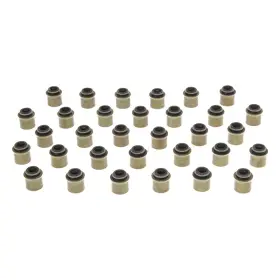 Ss46064 Mahle For Chevy Silverado 3500 Hd 11-16 Positive Type Valve Stem Oil Seal Set