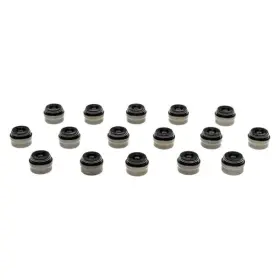 Ss46067 Mahle For Chevy Cruze Limited 16 Intake/exhaust Valve Stem Oil Seal Set